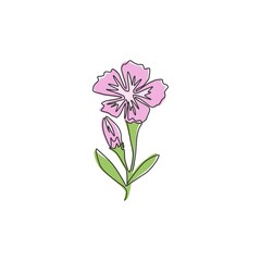 Wall Mural - Single continuous line drawing of beauty fresh dianthus for home art wall decor poster print. Printable decorative sweet william flower concept for . Trendy one line draw design vector illustration