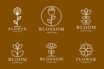 Wall Mural - Geometric linear style vector flower logos or emblems set, sacred geometry floral symbols line drawing emblems collection, blossoming flower hotel or boutique or jewelry logotypes.