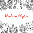 © Kseniia - Hand drawn herbs and spices design. Vector illustration