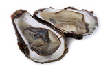 Fototapeta  - Opened oysters