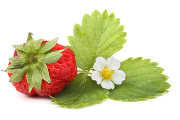 Wall Mural - Strawberry, leaf and flower