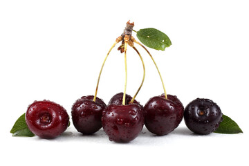 Wall Mural - Wet dark red cherries