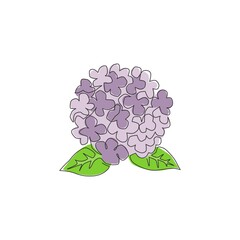 Single continuous line drawing beauty fresh hortensia for home wall decor art poster print. Decorative hydrangea flower concept for floral card frame. Modern one line draw design vector illustration