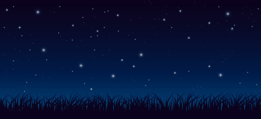 blue dark night sky with lot of shiny stars and grass ground silhoutte background