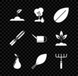 Set Sprout, Watering Tree, Leaf, Pear, Garden rake, Gardening handmade scissors for trimming and can icon. Vector