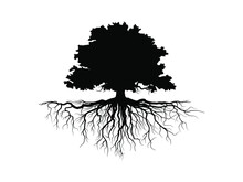 Black Trees And Root With Leaves Look Beautiful And Refreshing. Tree And Roots LOGO Style.