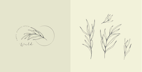 Set of inimal feminine botanical floral branch and logo. Hand drawn wedding herb, homeplant with elegant leaves. Botanical rustic trendy greenery vector