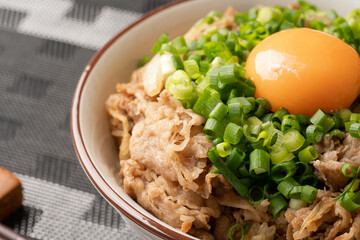 Canvas Print - ねぎ玉牛丼