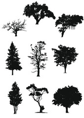 set of trees silhouettes