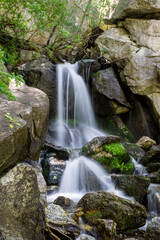 Poster - Beautiful scene with a streaming waterfall in Ferguson Canyon, Utah, USA