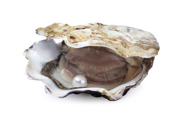 Wall Mural - Open oyster with pearl isolated on white