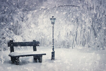 Winter Time Scene With A Wooden Bench And Street Lamp Covered With Snow Under A Snowfall In The Park. Wonderful Holiday Season Background, Merry Christmas Magic Atmosphere. Tranquil And Peaceful View