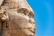 Great Sphinx Closeup