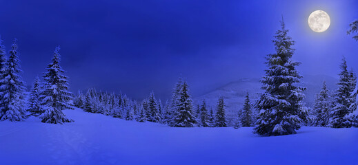 Wall Mural - full moon rising above the winter fir forest covered of snow in mountains. landscape winter