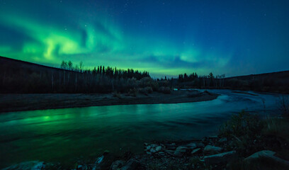 the aurora borealis or northern lights appear in the fall over the chatanika river near fairbanks, a