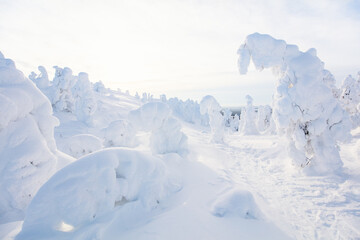 Canvas Print - Majestic winter in Finland