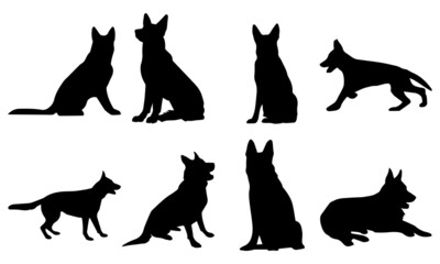 Wall Mural - German Shepherd Dog Silhouettes SVG German Shepherd