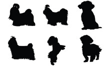 Shih Tzu Dog Silhouette Shih Tzu Dog SVG