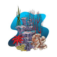 Coral Reef With Sea Anemone, Sponge And Laminaria Seaweed, Sketch Vector Illustration Isolated On White Background.