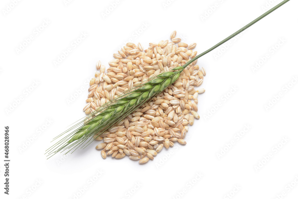 Spikelet and wheat grains on white background