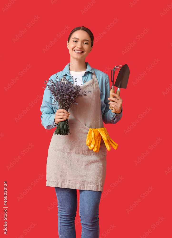 Female gardener with lavender on color background