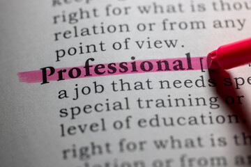 dictionary definition of professional