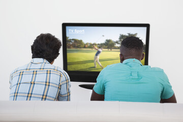 Canvas Print - Rear view of two friends sitting at home together watching golf event on tv