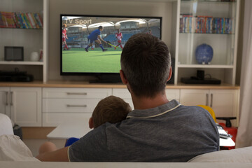 Wall Mural - Rear view of father and son sitting at home together hockey match on tv