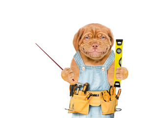 Poster - Smiling puppy worker wearing overalls with tool belt holds spirit level and points away on empty space.  Isolated on white background