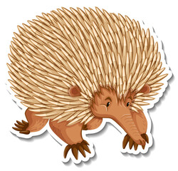 Poster - Echidna cartoon character on white background