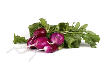 Poster - Fresh organic radish