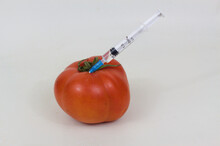 Injected Tomato With Syringe Inside Closeup View Isolated On White