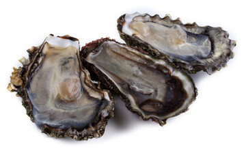  Opened oysters