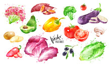 Watercolor Illustration Set Of Vegetables