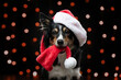 dog on the background of New Year's lights, bokeh. Christmas pet. funny Border Collie in a cap