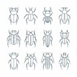 © Ekaterinaku - Beetle insects icons set in linear style