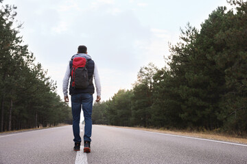 Poster - Man with backpack going along road near forest, back view