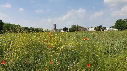 Canvas Print - Ruhrgebietsidylle