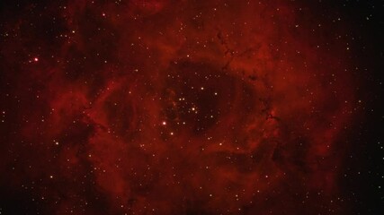 Wall Mural - Zoom out of a colorful nebula in outer space that resembles a rose