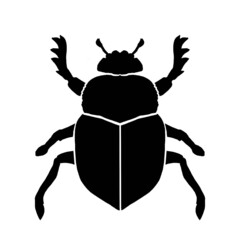 Silhouette of dung beetle on white