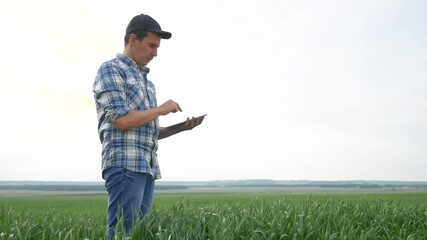 Wall Mural - smart farming. Man agronomist a farmer red neck with digital tablet computer in green wheat field lifestyle using apps and internet, selective focus . agricultural harvesting technology concept