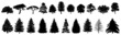 Tree Set. Different Tree Silhouette. Spruce, Coniferous, Pine, Deciduous. Isolated on White Background. Vector Illustration. Forest and Park Elements. Winter forest collection. Black Hand Drawning.
