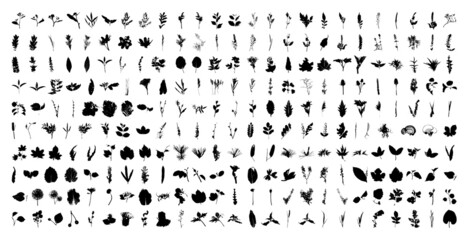 Collection of traced leaves and sprigs. Black prints of foliage. Vector design elements isolated on a white background.