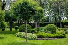 Manicured Park With Green Plants On A Green Lawn With A Flower Bed And Trees In The Garden For Relaxation Summer Maintained Eco Friendly Landscape, Nobody.