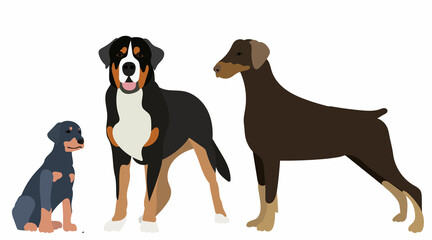 dog and puppy in flat style, vector, isolated