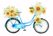 Sunflowers Bouquet, Blue Bike, Bicycle.  Isolated Elements On A White Background. Hand Painted In Watercolor.