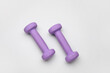 © Pixel-Shot - Purple dumbbells on light background