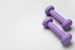 © Pixel-Shot - Purple dumbbells on light background