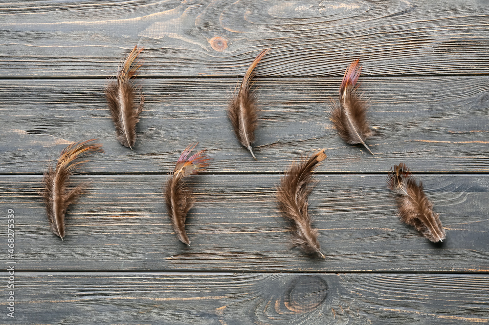 Beautiful pheasant feathers on wooden background