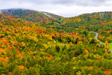 Wall Mural - Aerial view of the dense forest of Vermont during Autumn with beautiful vibrant colors and a winding road with an overcast sky.